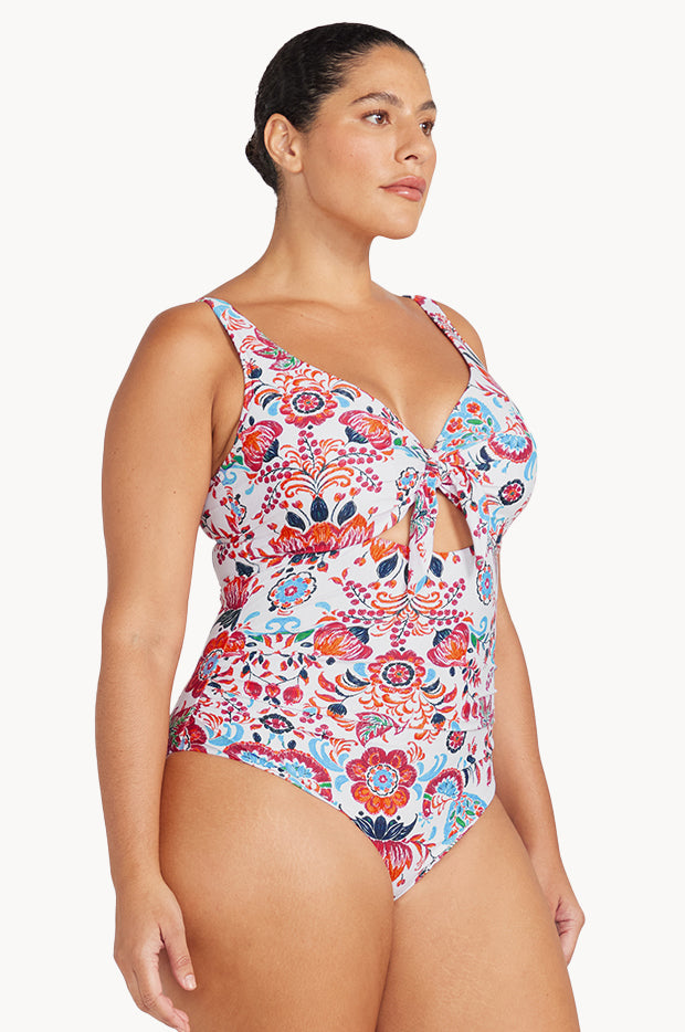 Premium Surf D/DD Cup Full One Piece