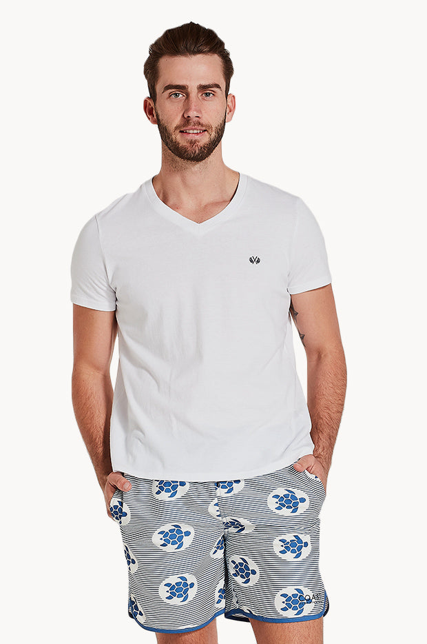 Mens Hamilton Island Stripe Boardshort