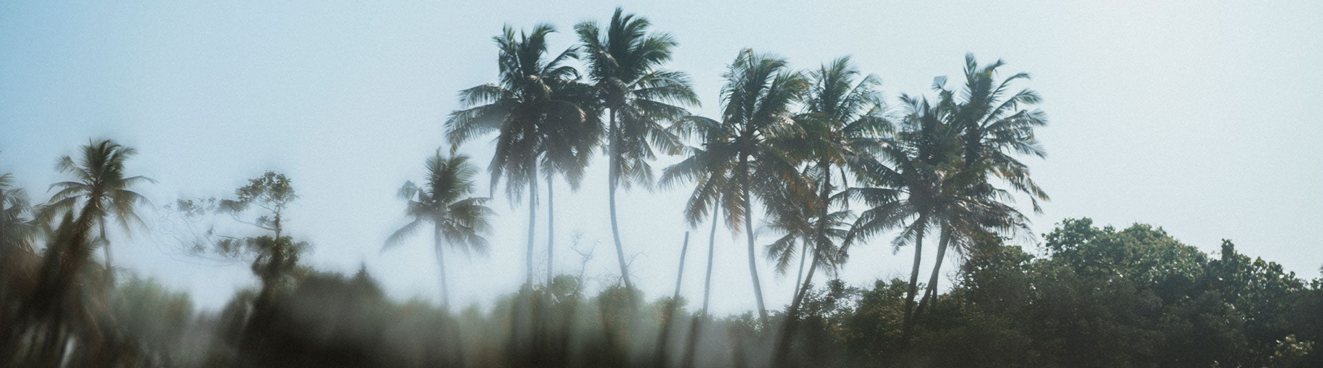 Escape To Paradise
