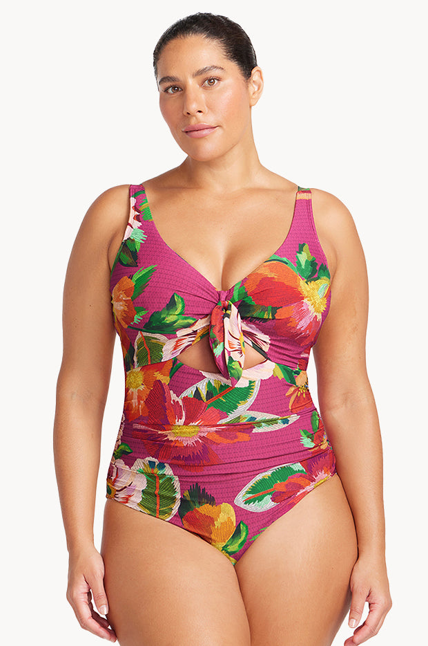 Le Recife Cezanne D/DD Cup One Piece