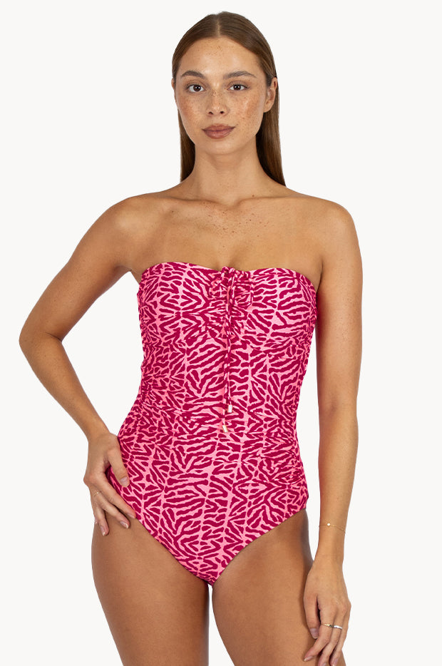 Wild Coast Bandeau One Piece