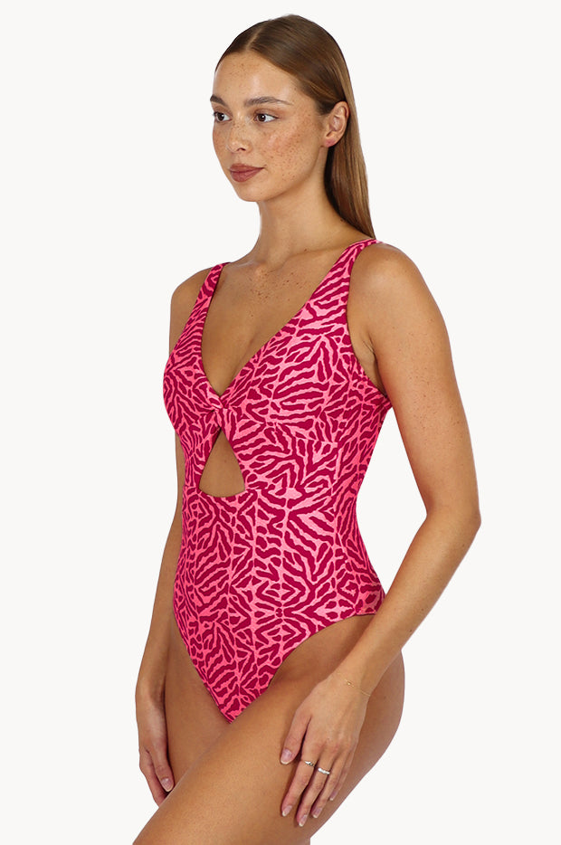 Wild Coast Cut Out One Piece