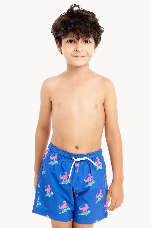 Boys Jurassic Beach Compression Lining Swim Short