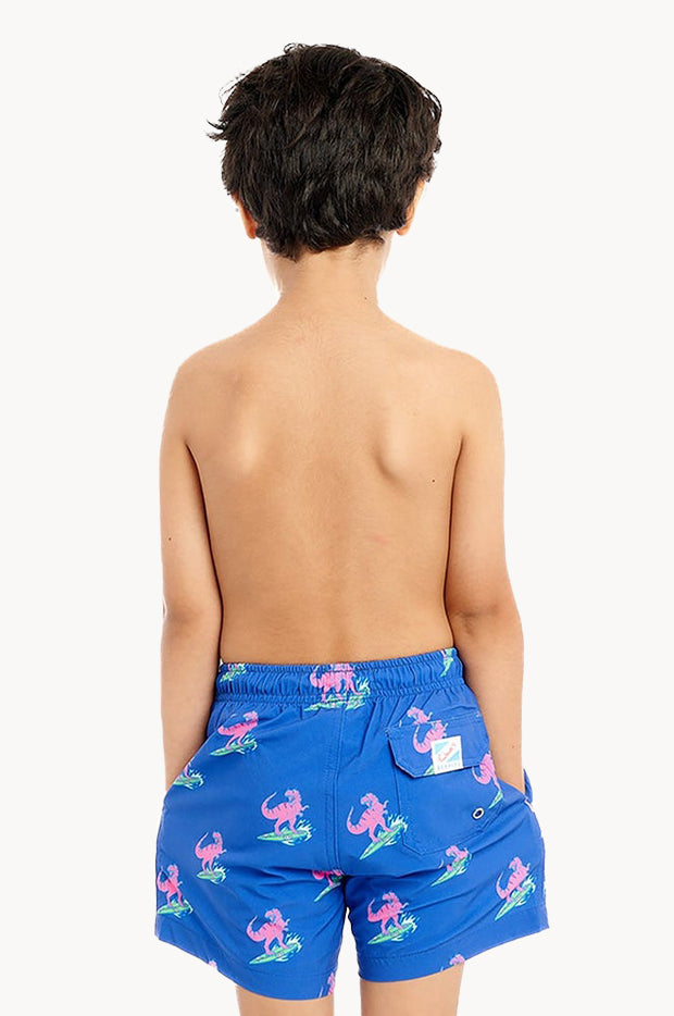 Boys Jurassic Beach Compression Lining Swim Short