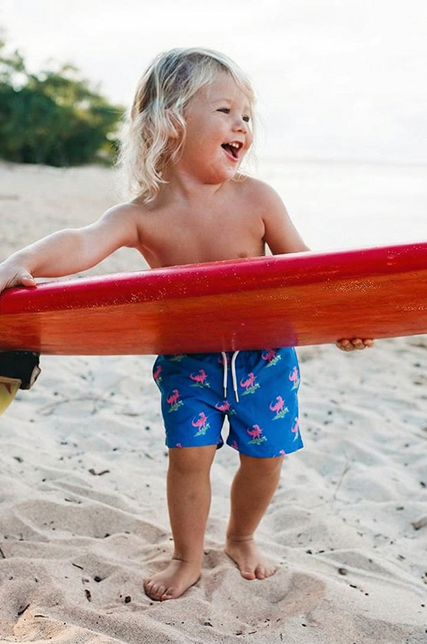 Boys Jurassic Beach Compression Lining Swim Short