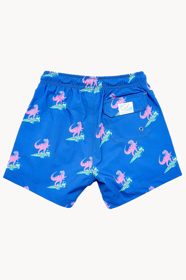 Boys Jurassic Beach Compression Lining Swim Short