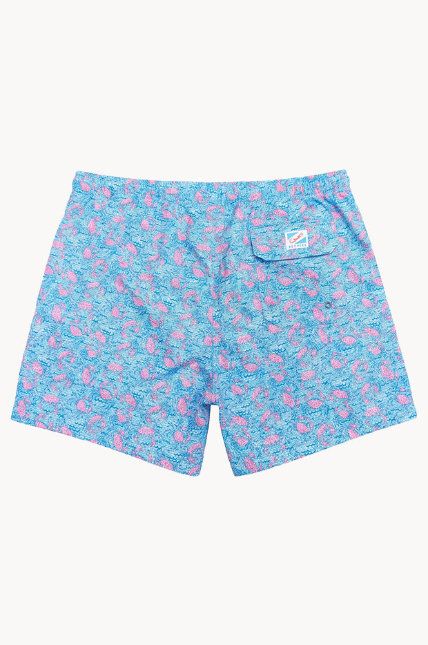 Mens Ocean Crabs Swim Short