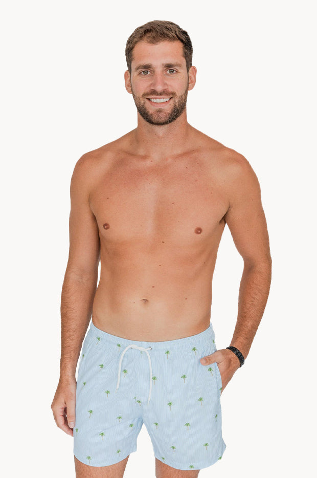 Mens Palm Stripes Compression Lining Swim Short
