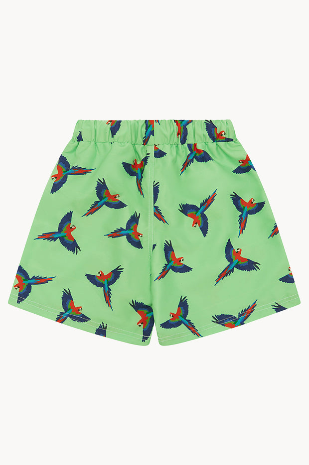 Boys Macaw Boardshort