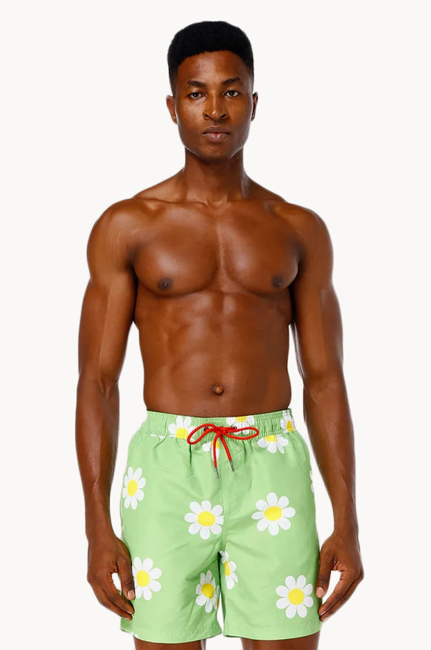 Coast - Mens Daisy Classic Boardshort - Lime | Swimwear Galore AU