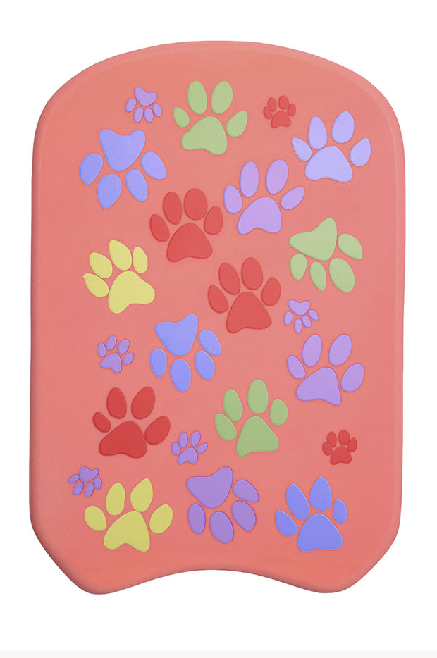 Paw Paw Kickboard