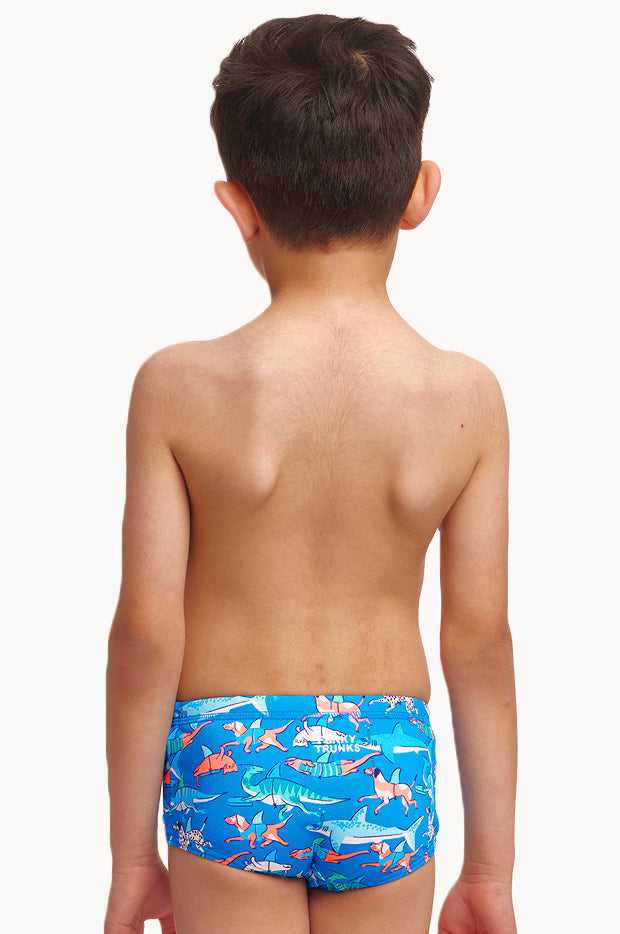 Funky Trunks - Boys Fin Swimming Trunk - Blue/Multi | Swimwear Galore AU