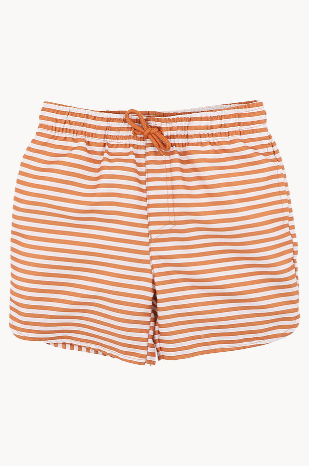 Boys Harvey Stripe Boardshort