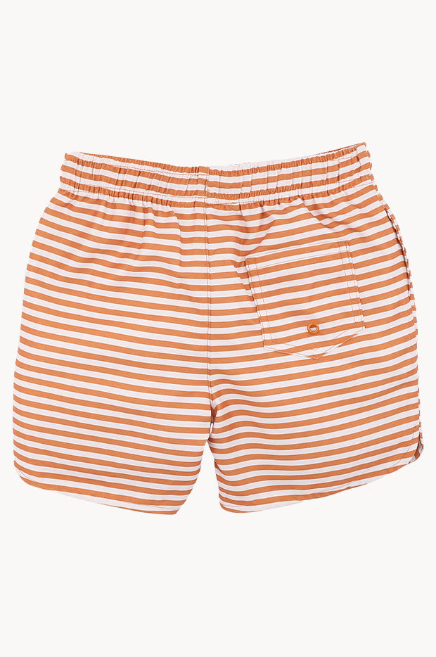 Boys Harvey Stripe Boardshort