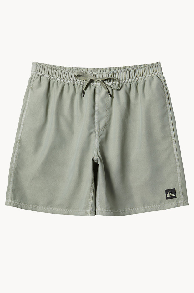 Mens Everyday Surfwash 17" Volley Boardshort