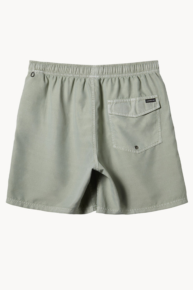 Mens Everyday Surfwash 17" Volley Boardshort