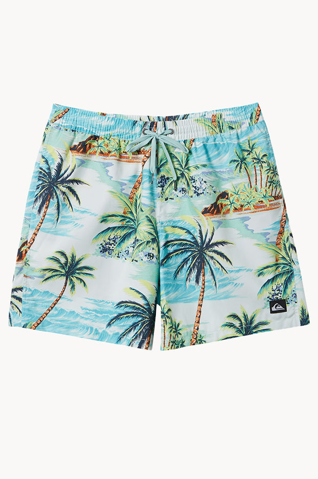 Mens Everyday Mix 17" Volley Boardshort