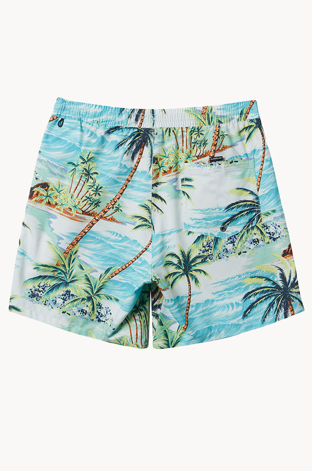 Mens Everyday Mix 17" Volley Boardshort