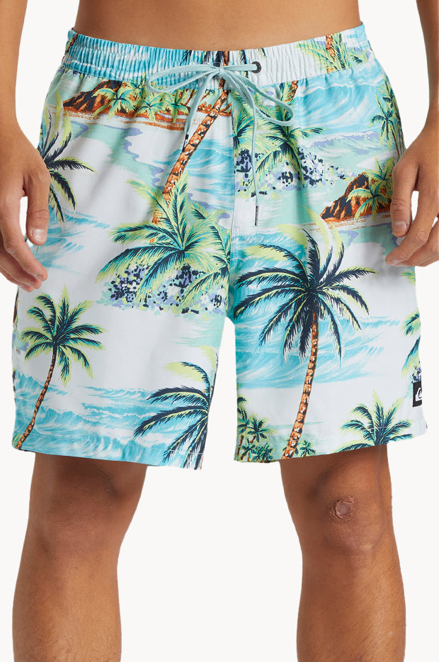 Mens Everyday Mix 17" Volley Boardshort