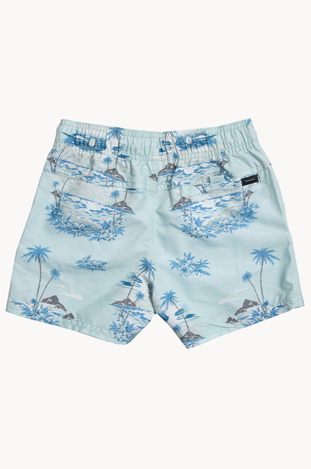 Rip Curl Men's Dreamers Volley Boardshort - 16" Swim Trunks With Elastic Waistband & Recycled Materials
