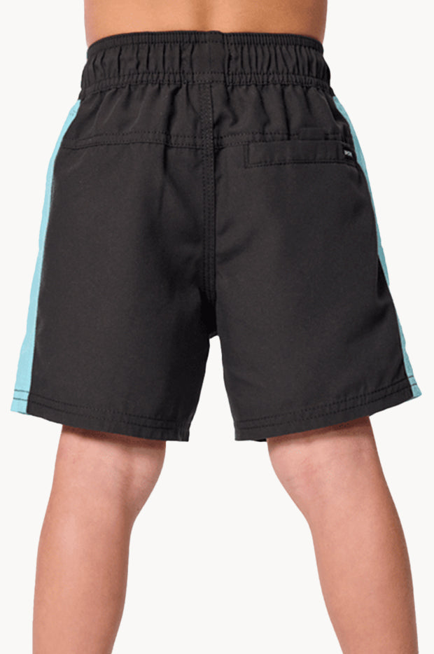 Boys Wave Dayz Panel Volley Boardshort