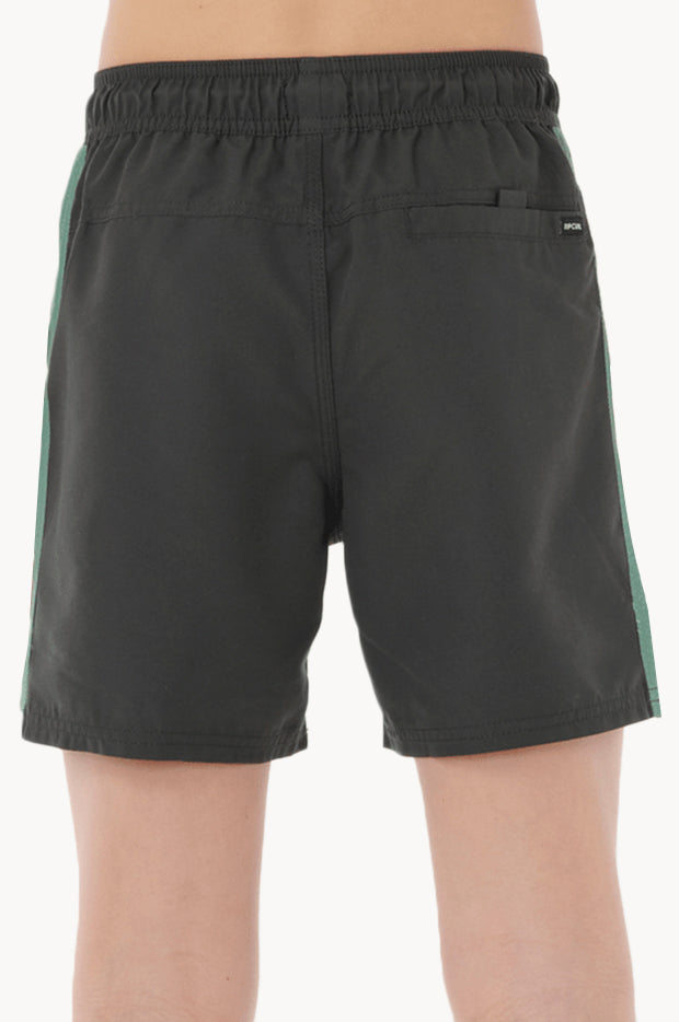 Boys Tropic Daze Panel Volley Boardshort