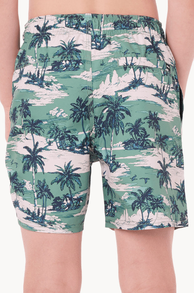 Boys Dreamers Volley Boardshort