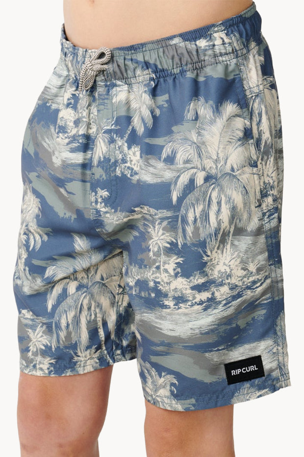Boys Dreamers Volley Boardshort