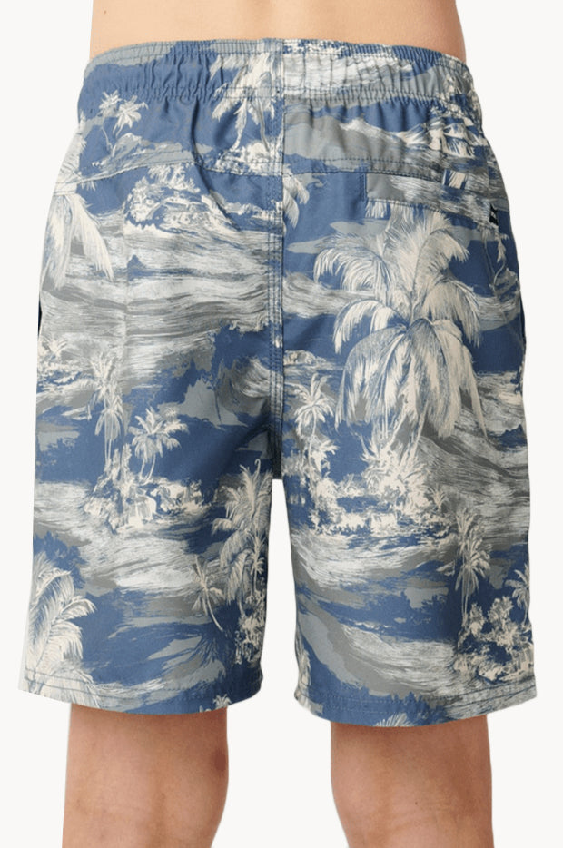 Boys Dreamers Volley Boardshort