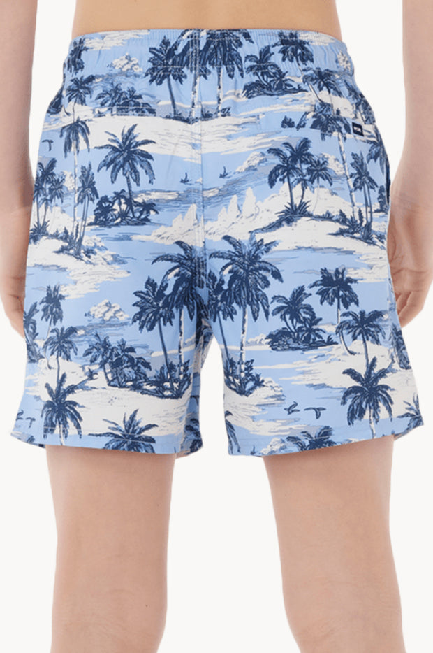 Boys Dreamers Volley Boardshort