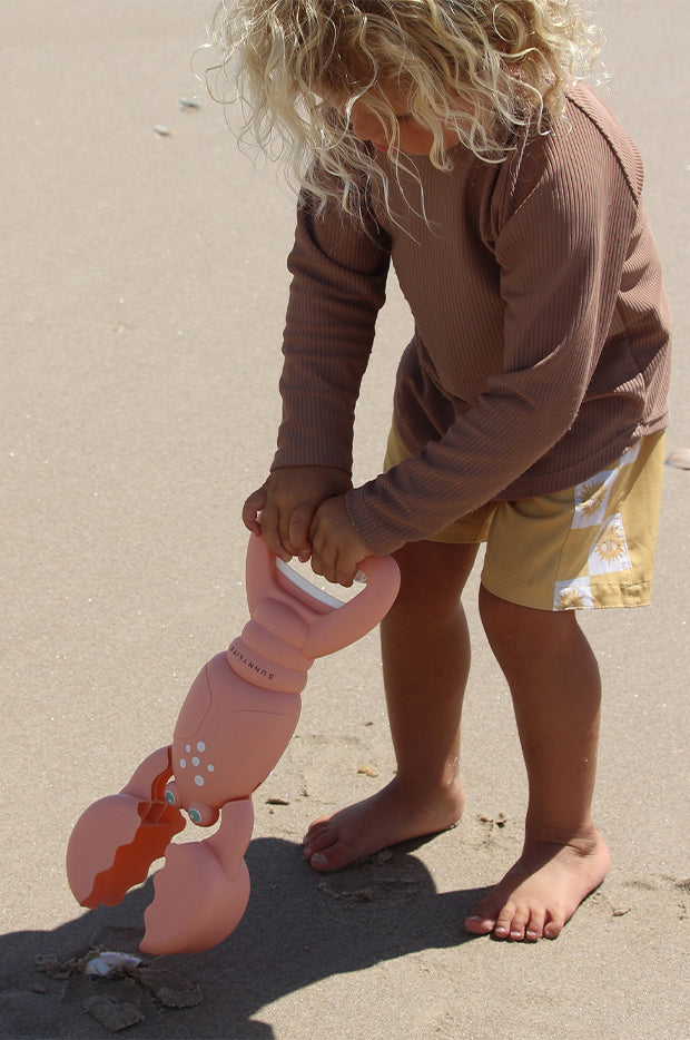 Lobster Sand Claws