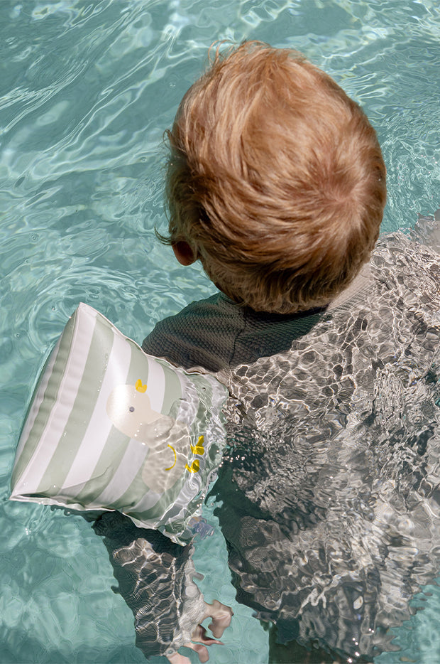 Dex The Duck Inflatable Arm Bands