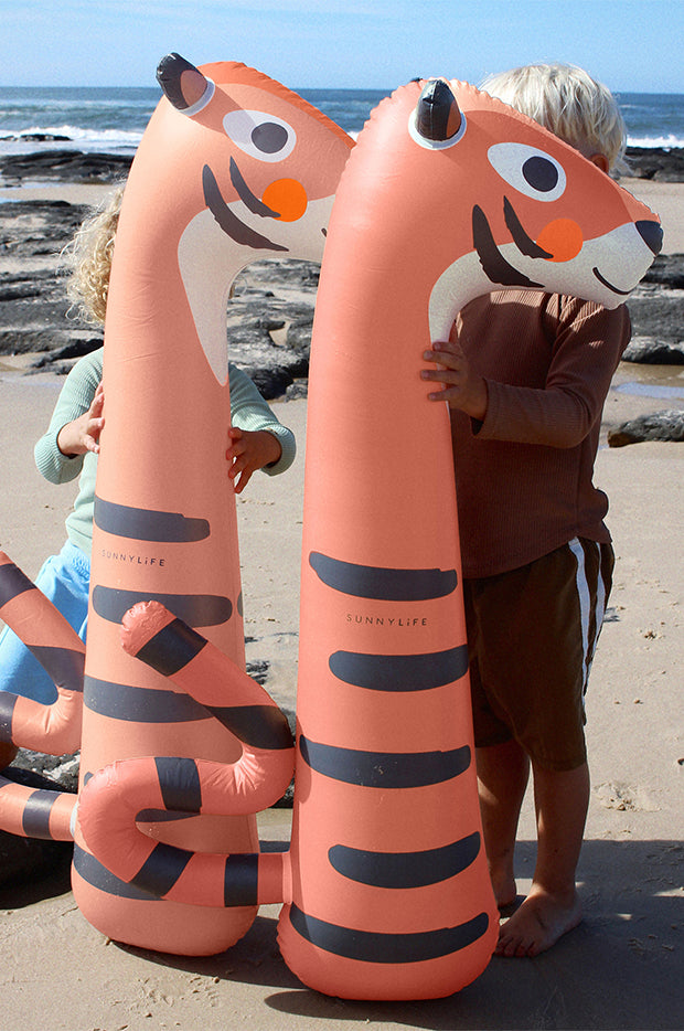 Tino The Tiger Inflatable Noodle Set Of 2
