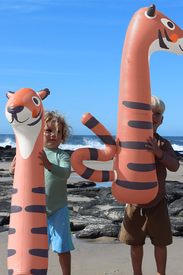 Tino The Tiger Inflatable Noodle Set Of 2