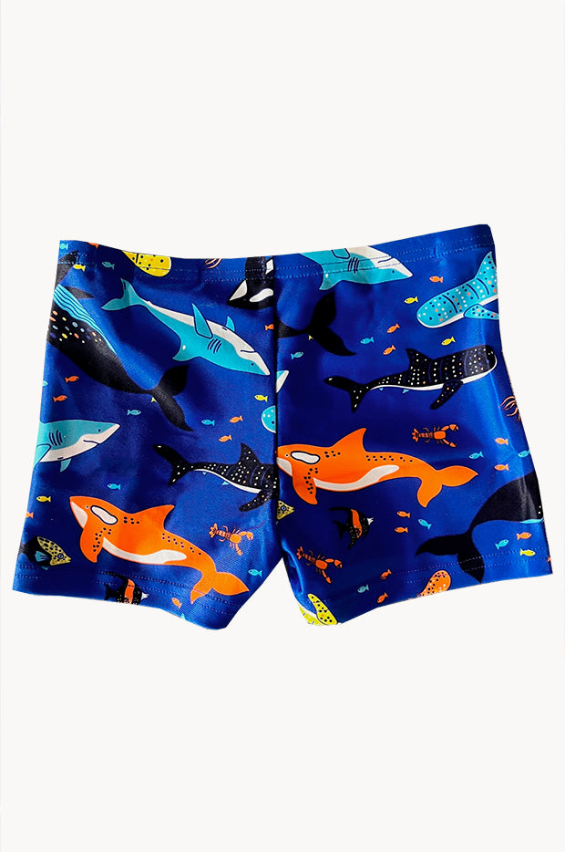 Speedo - Toddler Boys Shark Aquashort - Cobalt | Swimwear Galore AU