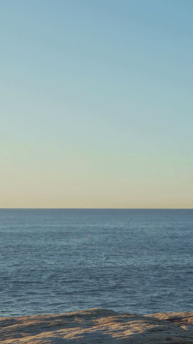 Jetset C/D Cup Tank One Piece